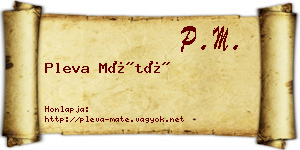 Pleva Máté névjegykártya